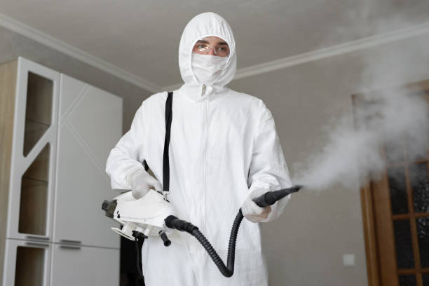 Why You Should Choose Our Mold Remediation Services in Cross Plains, TN